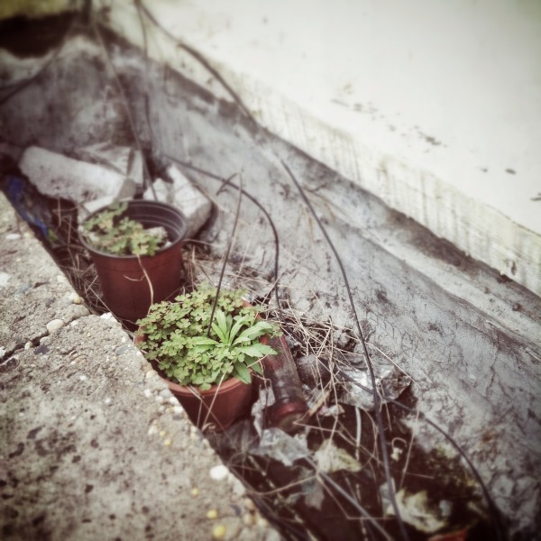 分享一些方形构图的拍拍照照 分享一些方形构图的拍拍照照