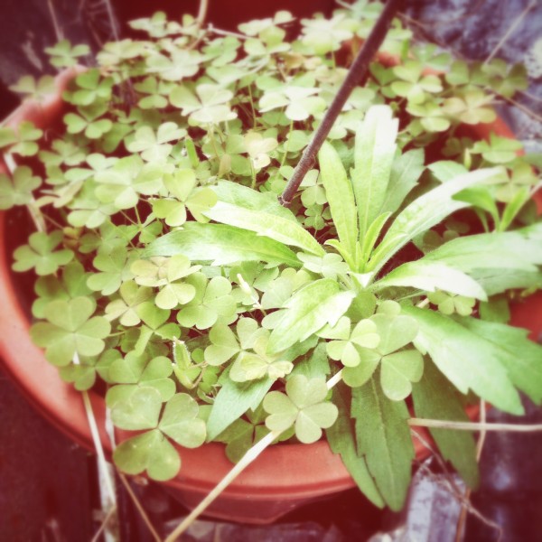 分享一些方形构图的拍拍照照 分享一些方形构图的拍拍照照