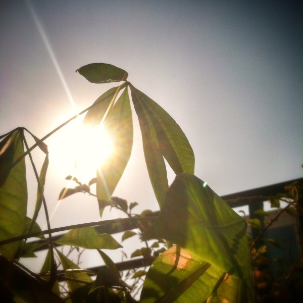 分享一些方形构图的拍拍照照 分享一些方形构图的拍拍照照