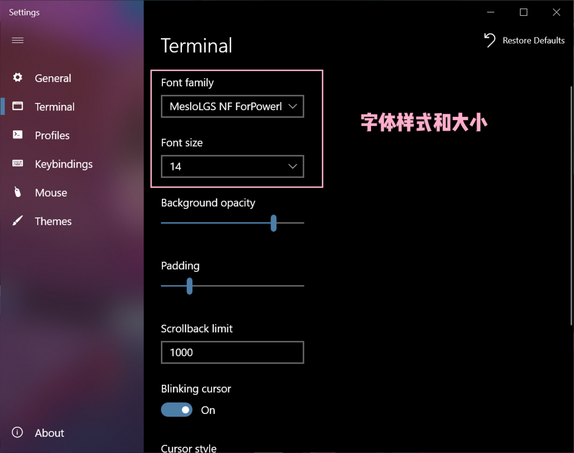 告别 Windows 终端的难看难用,从改造 PowerShell 的外观开始 告别 Windows 终端的难看难用,从改造 PowerShell 的外观开始